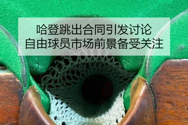 ha-deng-tiao-chu-he-tong-yin-fa-tao-lun-zi-you-qiu-yuan-shi-chang-qian-jing-bei-shou-guan-zhu-2-191.jpg